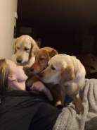 e0989de2e7212337ce3af753ba849ca4_138x184_fill