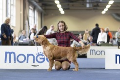 e0f0ea820e1e2816f0f7589477a195ee_246