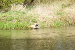 e0f526e03bc782663020e74488619672_246