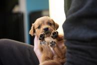 e11337be006abfa13220892fe32d36ad_195x130_fill