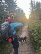 e11868844c9ffbff32af7e4f07d6d79c_138x184_fill