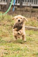 e1300d53266377c9e886ed2b7391df10_130x195_fill