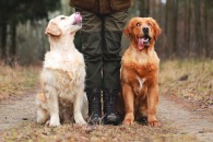 e166492be62df0f2a03ed5eb6d10ab2a_195