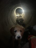 e2004586dcc03fca1ed40f74dad9bb2f_138x184_fill