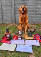 e20a6d93550ca373205caea1a5467642_136x190