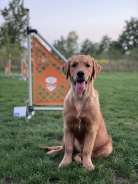 e21fb02c7466449c2ea5de93e35a83ea_138x184_fill