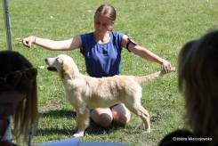 e22d4084569a3d6aaf63ddaedc1d9574_245