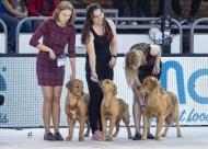 e23b10536581a3598a905f5c20926d60_190