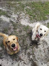 e25fcf20af945b5c57a064bc8f5c3d25_174x232_fill