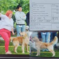 e26474524228888829672560ec107cbd_200x200_fill