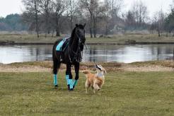 e28fca47ded19be03775b2cf87e769c9_246