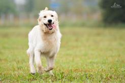 e2bdd004e2d913defb59390c53fb5bb9_246