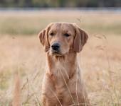 e2d2efe1c713c28b0a95b7b67c92fbca_170