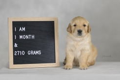 e2f8deebf5ae5b076e123af96de923d4_246