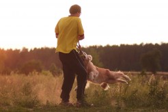 e2ff1645a0db4d0e8a3ceea369a5bdc9_246