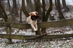 e30ae4df62be32dda1234b757e1bc5f0_246x164_fill