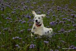 e314332e47ce8a185324b2bc658323fc_245