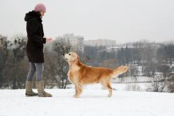 e31fc587a91982f86a110dc71ba5a30a_246x164_fill