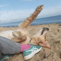 e32dd2b827352da4ca7d3072519e02a9_200x200_fill