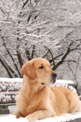 e39d92e6006140c318310ae6a3c2990c_164x246