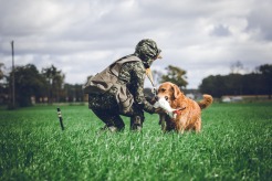 e3d0450f8797fd2ac48f99efd21cca34_246