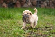 e3de8882e8de53561ca07a8c661ddb91_195