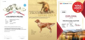 e426023a89687cca1233044e87ececb3_290