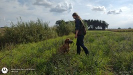 e43fe56a72e1e4ddb45fbde2f713131c_266