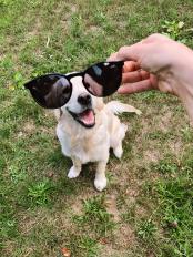 e45181b24fb3638dec9b56c312f4f281_174x232_fill