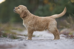 e45de346021133559acd5786e3140c7f_246