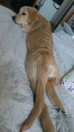 e4649196a669e21a05eb2c9608ad591b_150x266