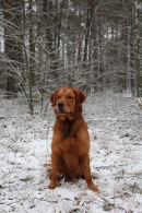 e4797a447358b3b16049bd5ee569a513_130x195