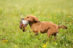 e4d5cadb543c6aa862534d12c4d3ea4b_246x164_fill