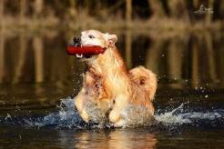 e4e8bac9b8abc0fe659508959ce09f56_246