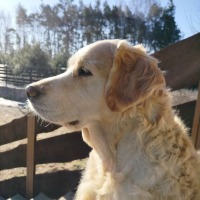 e52d8778f5b7fd2a951790a45a6476b1_200x200_fill