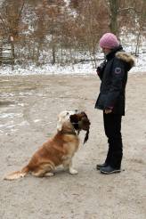 e54d3d6f123cf480fb574b41cc1713ea_164x246_fill