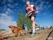 e55bb4c10ed89fcd87316c667064f6da_183