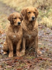 e570889dd11da8cdaf6bed880cc9a8ee_174x232_fill