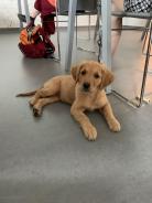 e5a6618ed3ad5616d45919321651875d_138x184_fill