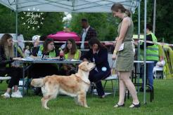 e5b662c1f05e0aabd224aaa33d130592_246