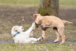 e5b8fbbbf9bfb1b418f5564648bf02ac_245