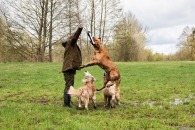 e5dc54785c1c79f4a9af240092725daf_195