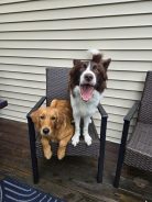 e652b04c101be44db748a8c641db8da9_138x184_fill