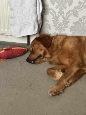 e657050b2b77078cc7c67bd224b00465_174x232