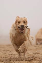 e6991e413dcc3bc91832e934f8dbf679_164x246_fill