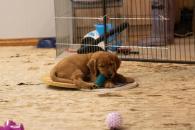 e70bdd44015bd309f94a5c4762138cf3_195x130_fill