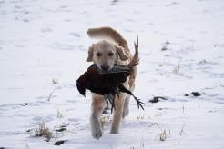 e71f934c0c53d1d129b6fb3fbf5afacb_246