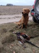 e73372f7f527102263573073e8cf943a_138x184_fill