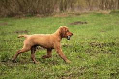 e7350ec59087c2cdfaffb67d473aff1e_246x164_fill