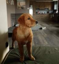 e762e5815712476a2e16f0c46a75fa0a_192x208